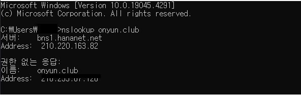 nslookup 확인
