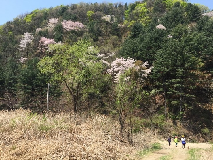 아이들과 함께 산책