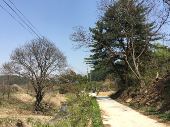 뒷 산 산책