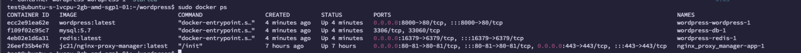 워드프레스 설치 및 빠른 성능을 위한  Redis 설정 방법 / docker ps