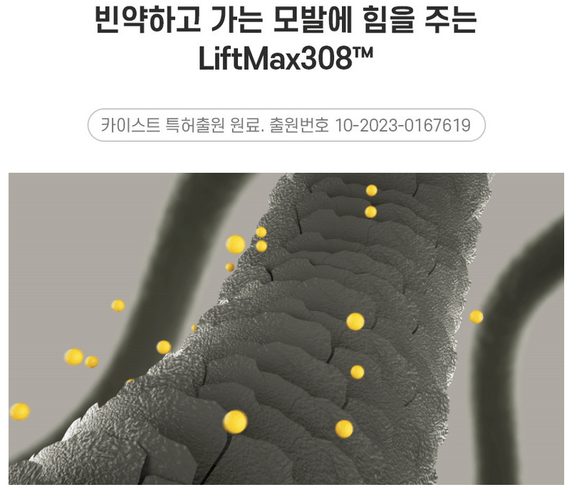 그래비티 샴푸 특허 모발 코팅 개념