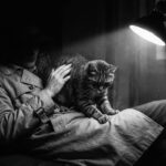 우리 집 고양이가 나를 밟는 진짜 특별한 이유