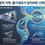 주사한방 줄기세포 시력 회복