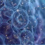 야간뇨 불면증, 소금 부족으로 오는 이유