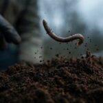 지렁이의 두 얼굴: 숲 생태계 파괴 주범 진실